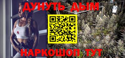 не бодяженный Гай