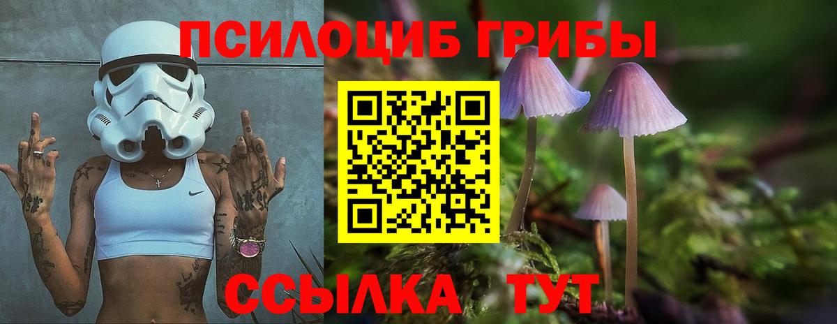 наркотики  Галлюциногенные грибы Psilocybine cubensis  Вход с VPN  Белая Калитва 